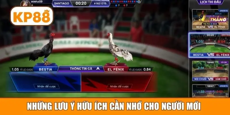 Những lưu ý hữu ích cần nhớ cho người mới
